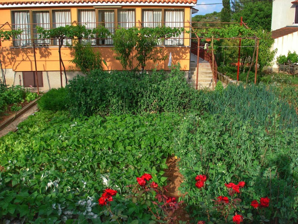 Apartments Sokolic Нерезине Екстер'єр фото